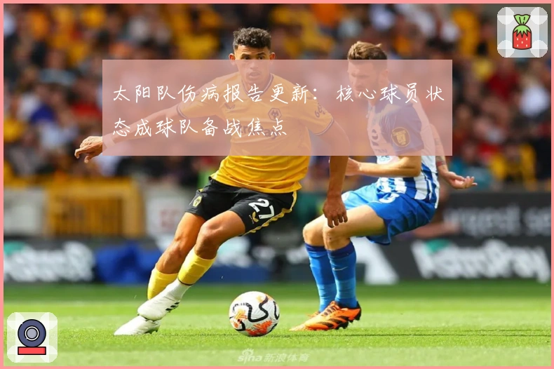 太阳队伤病报告更新：核心球员状态成球队备战焦点