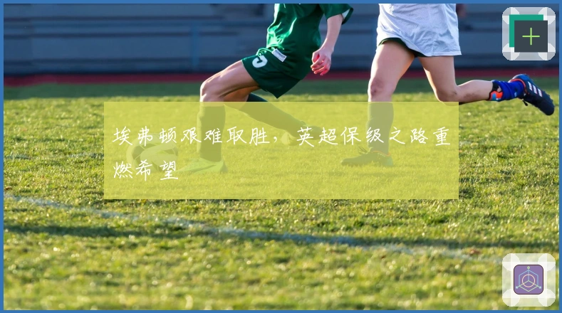 埃弗顿艰难取胜，英超保级之路重燃希望