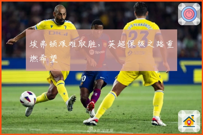 埃弗顿艰难取胜，英超保级之路重燃希望