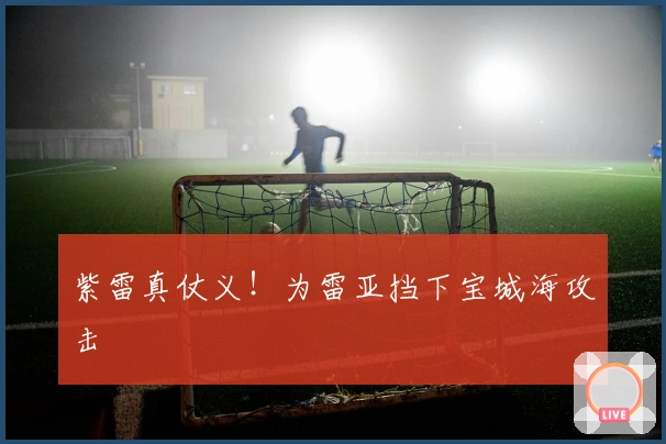 紫雷真仗义！为雷亚挡下宝城海攻击