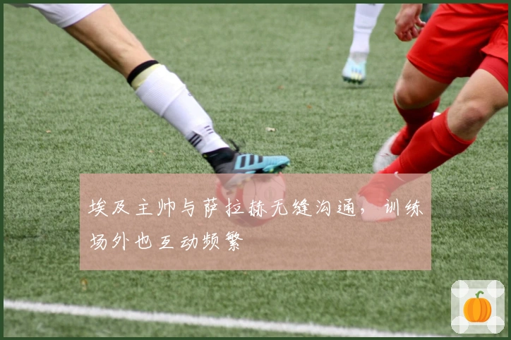 埃及主帅与萨拉赫无缝沟通，训练场外也互动频繁