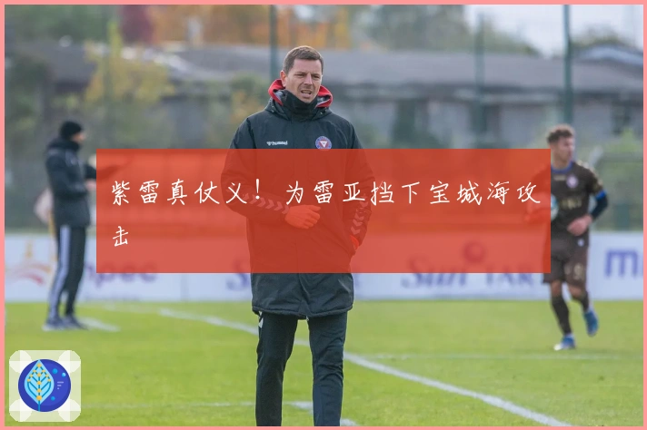 紫雷真仗义！为雷亚挡下宝城海攻击