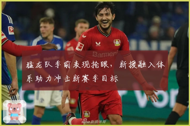 猛龙队季前表现抢眼，新援融入体系助力冲击新赛季目标