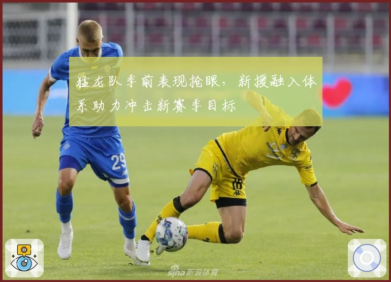 猛龙队季前表现抢眼,新援融入体系助力冲击新赛季目标